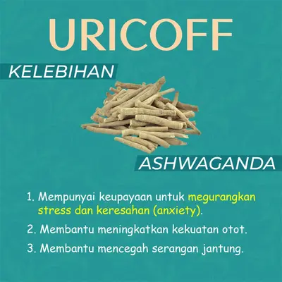 kelebihan ashwaganda rawati masalah gout