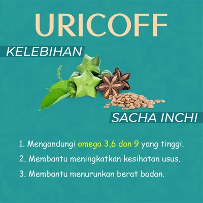 kelebihan sacha inchi hilangkan sakit gout